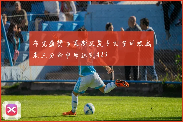 布克盛赞吉莱斯皮夏季刻苦训练成果三分命中率达到429