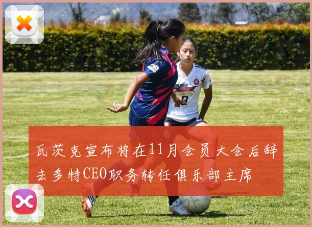 瓦茨克宣布将在11月会员大会后辞去多特CEO职务转任俱乐部主席