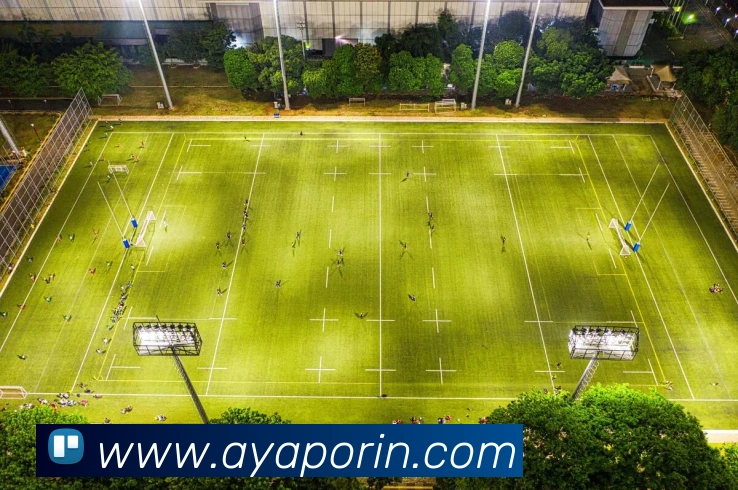 数据防护可视化